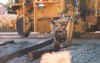 Sleeper2.jpg (100571 bytes)
