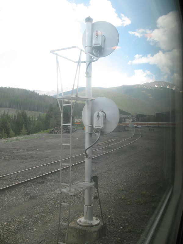Signal