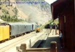 Silver Plum Depot / Station