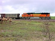 Texas Rail Sesquicentennial