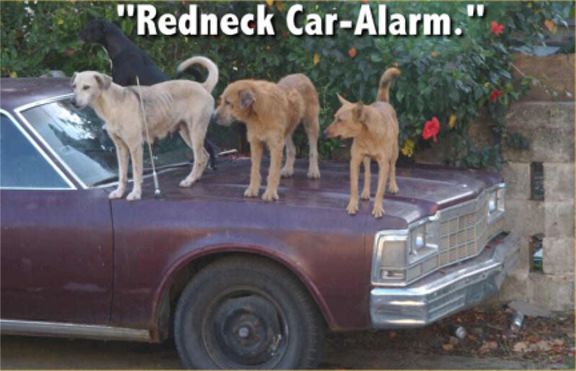 Redneck Car Alarm