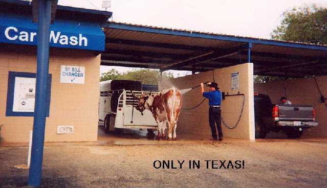 Redneck Car Wash