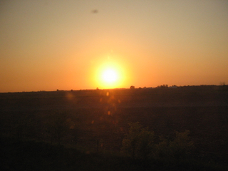 IMG_2814.JPG