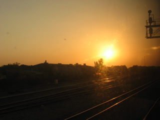 IMG_2385.jpg