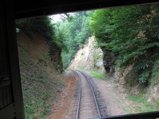IMG_2545.jpg