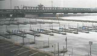 286%20FtM%20bridge.jpg