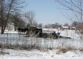 Farm%20La%20Plata.jpg