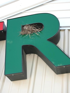 114A%20Trnparty%20birdnest.jpg