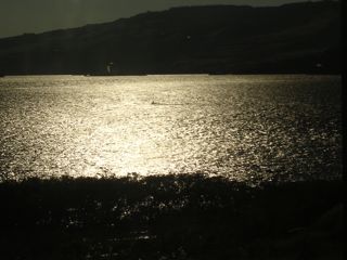048_DSCN1338.jpg