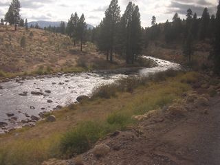 DSCN1649.jpg