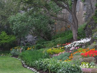 IMG_0317.jpg