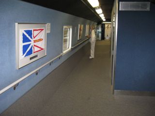 IMG_0382.jpg