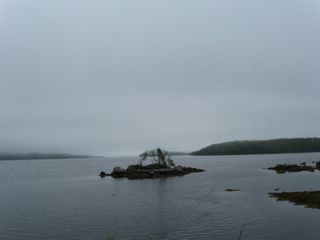 IMG_0552.jpg