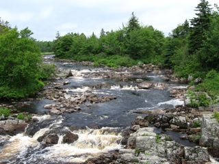 IMG_0557.jpg