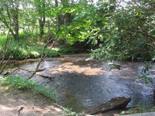 IMG_3572.jpg