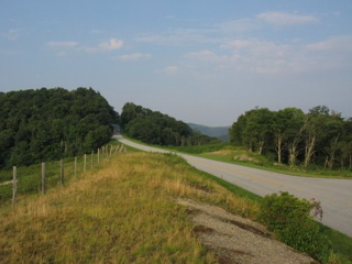 IMG_3615.jpg