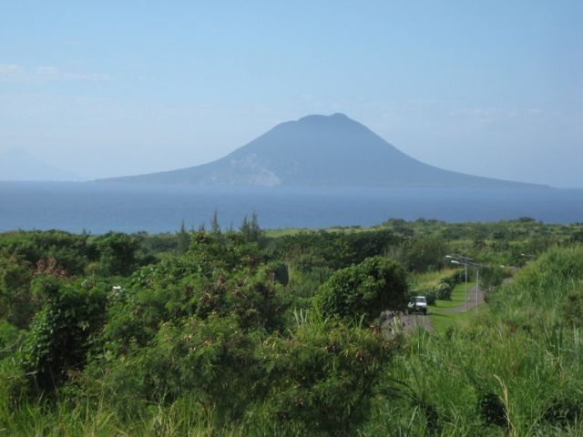 229.jpg
