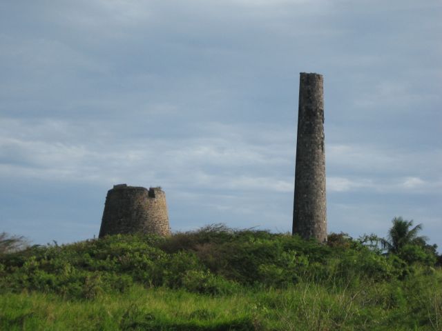 247.jpg