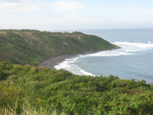 251.jpg