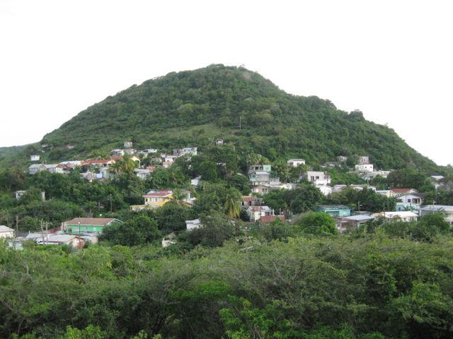 255.jpg