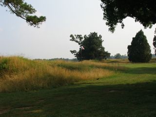 IMG_0623.jpg