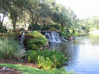 IMG_3686.jpg