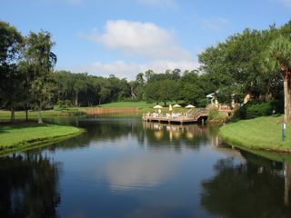 IMG_3689.jpg