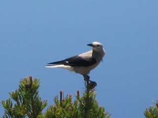 1/IMG_1907.jpg