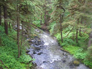 2/IMG_3331.jpg