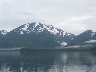 2/IMG_3446.jpg