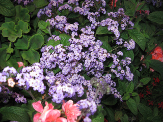 2/IMG_3962.jpg
