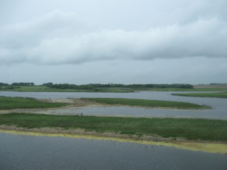 2/IMG_4221.jpg