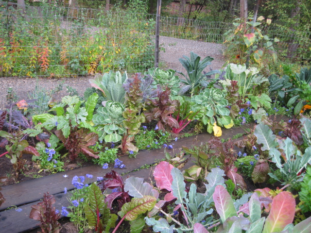 garden a