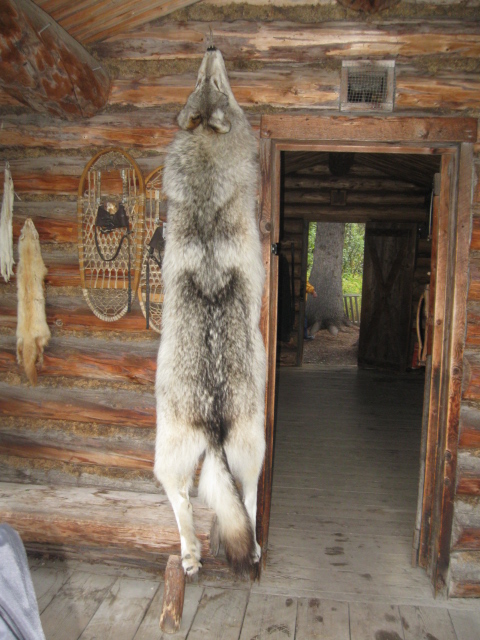 pelt a