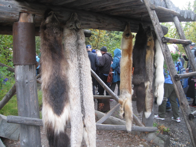 pelt 2