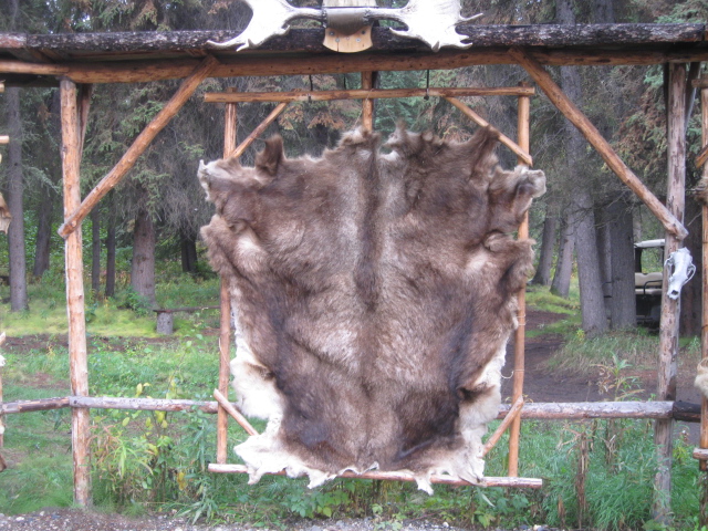 pelt a