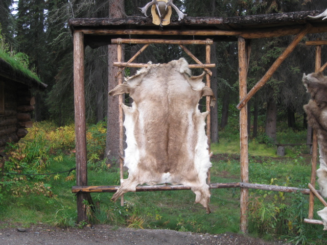 pelt b