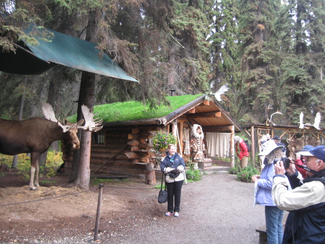 moose plus