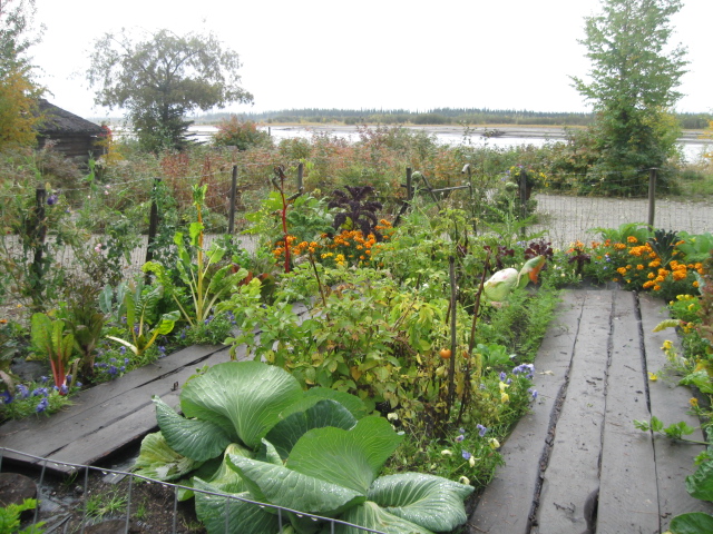 garden 2