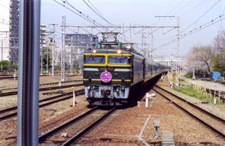 img008.jpg