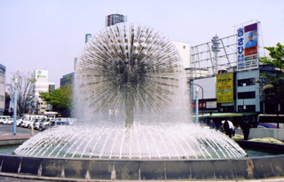 img119.jpg