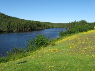 IMG_0634.jpg