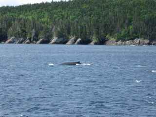 IMG_0700.jpg