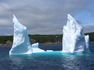 IMG_0732.jpg