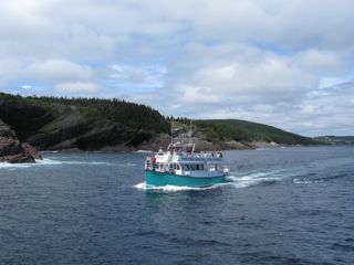 IMG_0785.jpg
