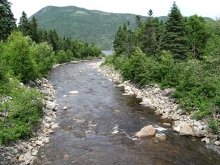 IMG_1033.jpg