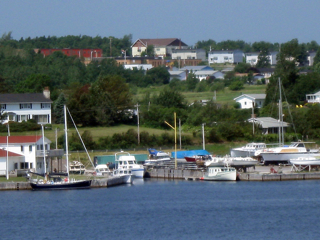 IMG_1361.jpg