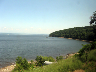 IMG_1583.jpg