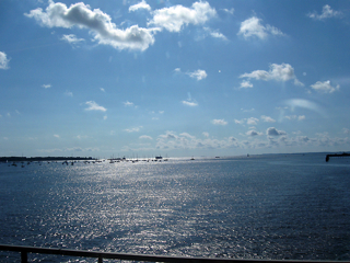 IMG_1729.jpg